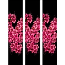 Videolu 3 Adet Pembe Ispirya Çiçeği Fidanı 40-60 Cm Saksılı Çiçekli Bodur Spiraea Vanhouttei