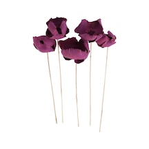 Kuru Çiçek 5li Palm Cap Demeti 45 Cm Palm Cup Çiçeği Erguvan