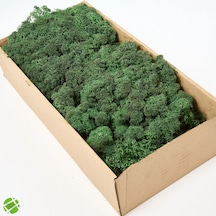 Reindeer Moss Dark Şoklanmış Norveç Yosunu 250gr