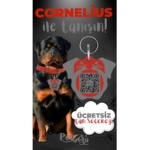 Petjoo 20.Cornelius Gri-Kırmızı Qr'lı Köpek Künyesi