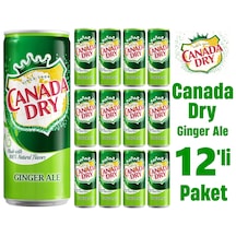 Canada Dry Ginger Ale 12 x 330 ML