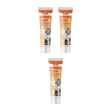 Bio Petactive Felilysine Gel Kediler İçin L-lizin Jel 100 Ml. X 3 Adet