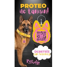 Petjoo 24.Proteo Pembe-Sarı Qr'lı Köpek Künyesi