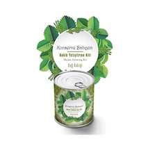 Kekik Tohum Dağ Kekiği