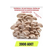 2000 Adet Istiridye Kavak Mantarı Tohumu + Ekim Poşetleri + Eğitim Kılavuzu Ve Hediye Üzüm Tohumu