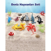 Hayvanlar
