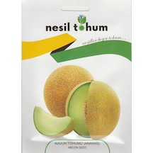 Nesil Kavun Tohumu Ananas 5 GRam