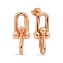 Argentum Concept - Gümüş Rose Link Küpe - K095001