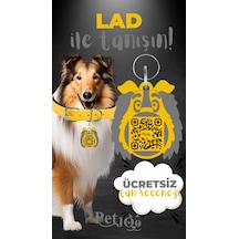 Petjoo 23.Lad Gri-Sarı Qr'lı Köpek Künyesi