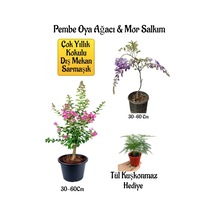 Pembe Oya Ağacı Fidanı+mor Salkım Ağacı Fidanı Tül Kuşkonmaz Çiçeği Hediyeli Bahçe Peyzaj Seti