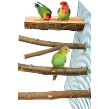 4 Paket Doğal Ahşap Kuş Levrek, Papağan Standı Levrek Platformu