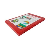 Türkay Polietilen Kesim Tahtası 30X50X4 Cm Kırmızı