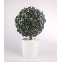 Yapay Ağaç Şimşir Top Tek Toplu 20x35cm Seramik Saksılı