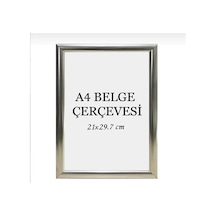 21x30 Fotoğraf Resim Poster Sertifika Çerçevesi