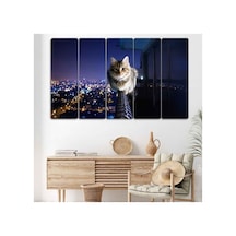 Yüksek Balkonda Duran Kedi - 5 Parçalı Tablo Görsel - 702504330 Görsel