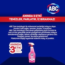 Abc Deterjan Cam Temizleyici Çiçek Bahçesi 500 Ml 1000'li Set