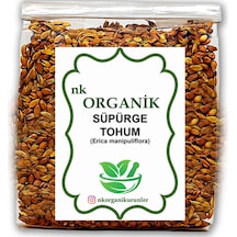 Süpürge Tohum Erica Manipuliflora 25gr