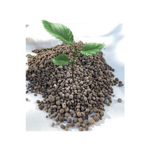 Taban Gübresi -kış Gübresi-kök Güçlendirici-leonardit Organik Humic Fulvic Asit Gübre 5kg 1 Adet