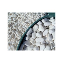Dolomit Taş 50 Kg 4-6 Cm Beyaz Dolomit Bahçe Taşı Çakıl Taşı Saksı Taşı Akvaryum Teraryum Taşı