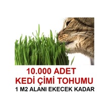 Kedi Çimi Tohumu Ortalama 10.000 Adet