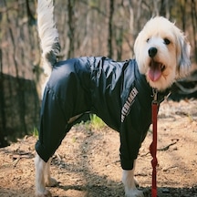 Fonksiyonel Fermuarlı Tulum Rüzgarlık Yağmurluk Köpek Kıyafeti
