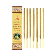 Ayurvedic Nature Fresh Masala Tütsü 15 G