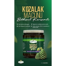 Mesiri-şifa Kozalak Macunu 240 G