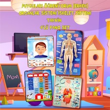 4 Set 127 Parça Tox Iskelet . Iç Organlar Sistemi . Takvim ve Du