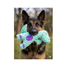 Yeşil Dinozor Köpek Oyun Arkadaşı 35cm Y