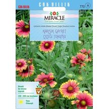 Miracle Karışık Gayret Çiçeği Giallardia Mix Tohumu 190 Tohum