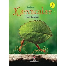 İlk Okuma - Karıncalar