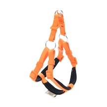 Turuncu