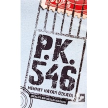 P.K. 546 - Mehmet Hayati Özkaya - Ötüken Neşriyat