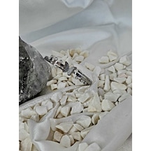 Eva Takı 316 l Çelik Kelebek Silver Beyaz Renkli Kelepçe Bileklik