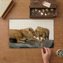 Anne Ve Yavru Aslan Tasarımı 240 Parça Ahşap Puzzle Ahşap Kutuda Mpy40073