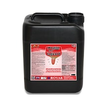 Royal Masdisin Ioguard 5 L