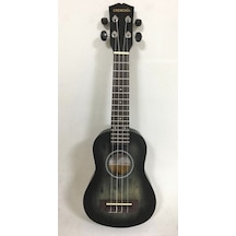 Cremonıa Au-H01A-21Bk