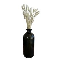 Serada Decor Plant Kuru Çiçek Pamuk Otu Demeti 35-40 Cm Beyaz
