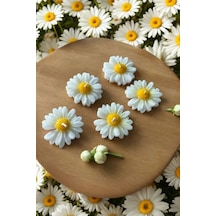 Bernami Mumluk Şamdanpinterest Suda Yüzen Hediyelik Kokulu Papatya Mum - 1 Adet Diğer