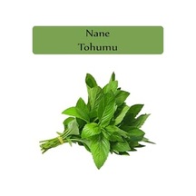 Nane Tohumu 1 Paket 0,02gr