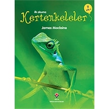 İlk Okuma - Kertenkeleler - James Maclaine 9786053124016