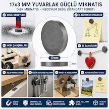 Mıknatıs 17x3 Mm Yuvarlak Güçlü Mıknatıs Disk Mıknatıs