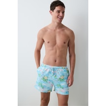 Çok Renkli