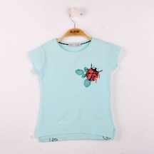 Mint Yeşili