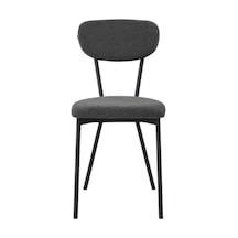 Demonte Sandalye 2 Adet Antrasit