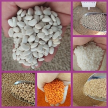 Bakliyat Kolisi Fasülye,nohut ,pirinç, Bulgur , Kırmızı Ve Yeşil Mercimek Net 6 Kg Herbiri 1 Kg