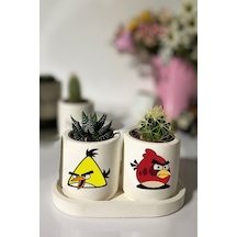 Tabaklı Angry Birds Desenli Mini Saksı Seti Hediyelik Dekoratif
