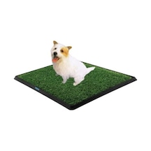 Yusa Stores Köpek Tuvalet Eğitim Seti