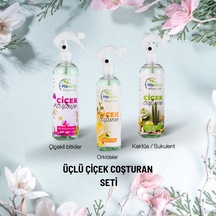 Diğer