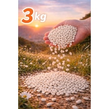 Kuru Fasulye 3kg